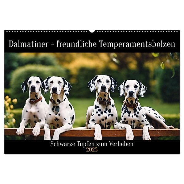 Dalmatiner - freundliche Temperamentsbolzen (Wandkalender 2025 DIN A2 quer), CALVENDO Monatskalender, Calvendo, Claudia Kleemann