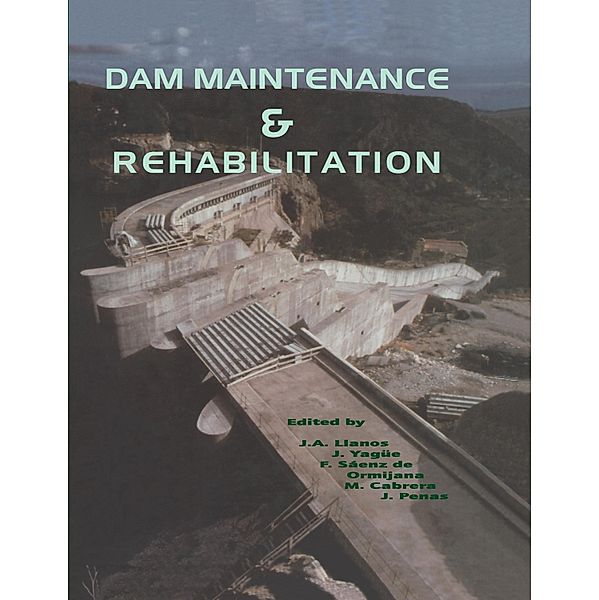 Dam Maintenance and Rehabilitation