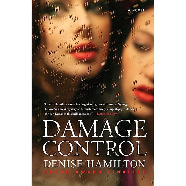 Damage Control, Denise Hamilton