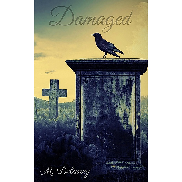 Damaged (Sinful, #1) / Sinful, M. Delaney