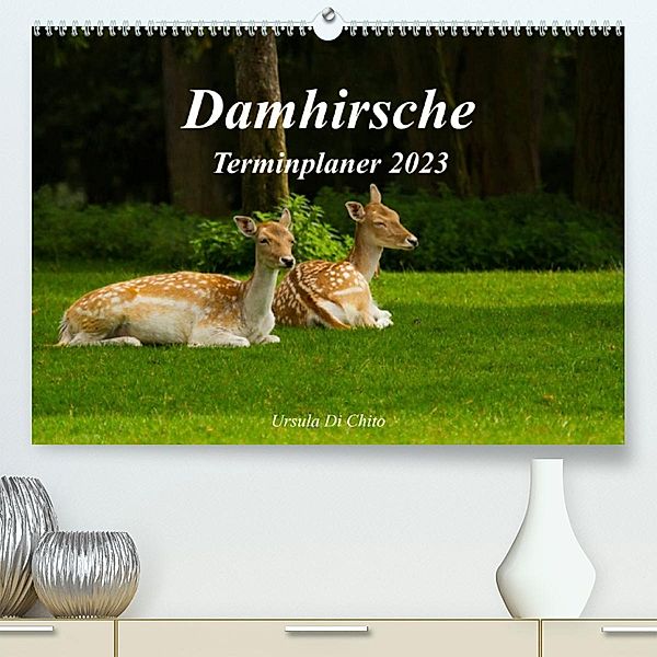 Damhirsche (Premium, hochwertiger DIN A2 Wandkalender 2023, Kunstdruck in Hochglanz), Ursula Di Chito