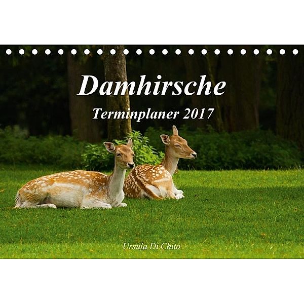 Damhirsche (Tischkalender 2017 DIN A5 quer), Ursula Di Chito