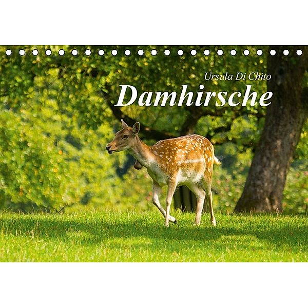 Damhirsche (Tischkalender 2018 DIN A5 quer), Ursula Di Chito