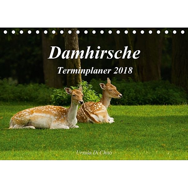 Damhirsche (Tischkalender 2018 DIN A5 quer), Ursula Di Chito