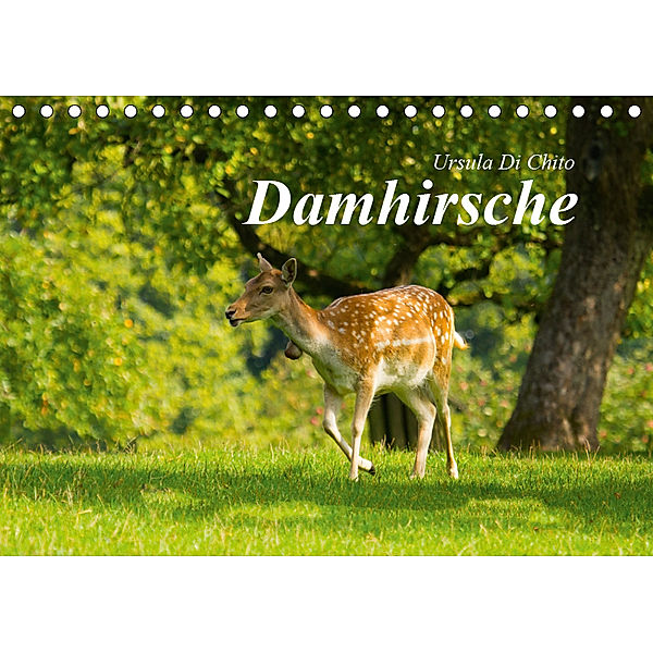 Damhirsche (Tischkalender 2019 DIN A5 quer), Ursula Di Chito