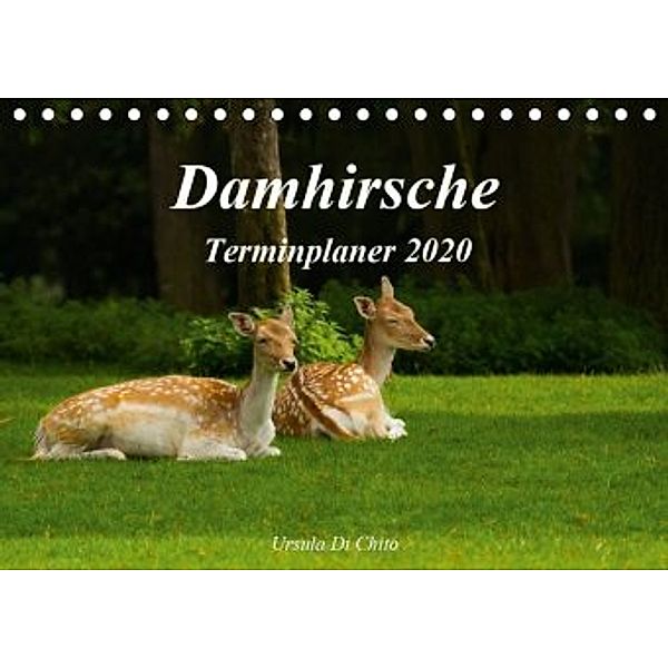 Damhirsche (Tischkalender 2020 DIN A5 quer), Ursula Di Chito