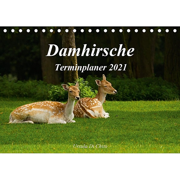 Damhirsche (Tischkalender 2021 DIN A5 quer), Ursula Di Chito