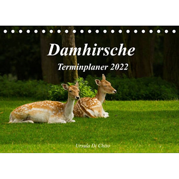 Damhirsche (Tischkalender 2022 DIN A5 quer), Ursula Di Chito