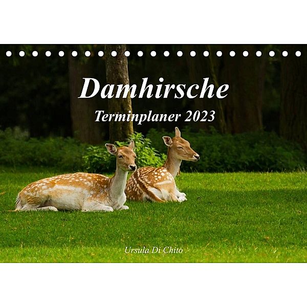 Damhirsche (Tischkalender 2023 DIN A5 quer), Ursula Di Chito