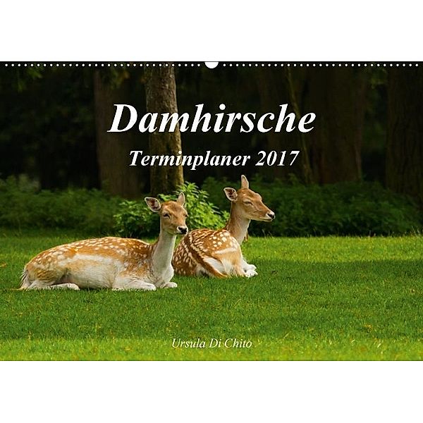 Damhirsche (Wandkalender 2017 DIN A2 quer), Ursula Di Chito