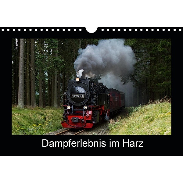 Dampferlebnis im Harz (Wandkalender 2021 DIN A4 quer), Marion Maurer