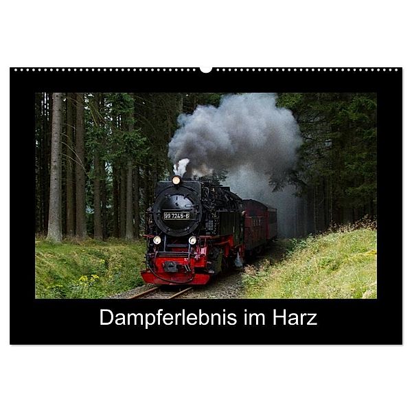 Dampferlebnis im Harz (Wandkalender 2024 DIN A2 quer), CALVENDO Monatskalender, Marion Maurer