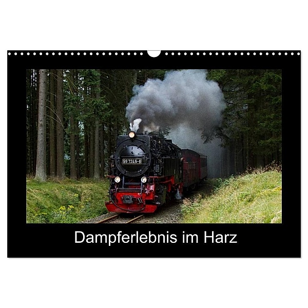 Dampferlebnis im Harz (Wandkalender 2024 DIN A3 quer), CALVENDO Monatskalender, Marion Maurer