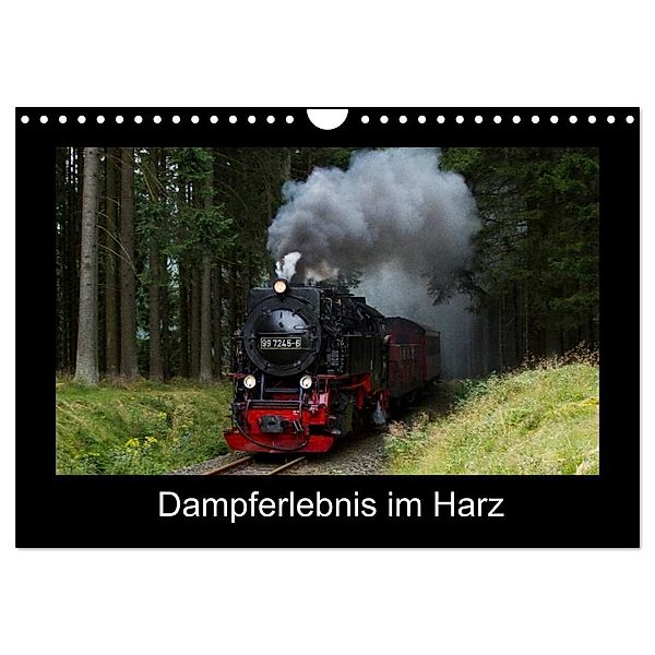 Dampferlebnis im Harz (Wandkalender 2024 DIN A4 quer), CALVENDO Monatskalender, Marion Maurer