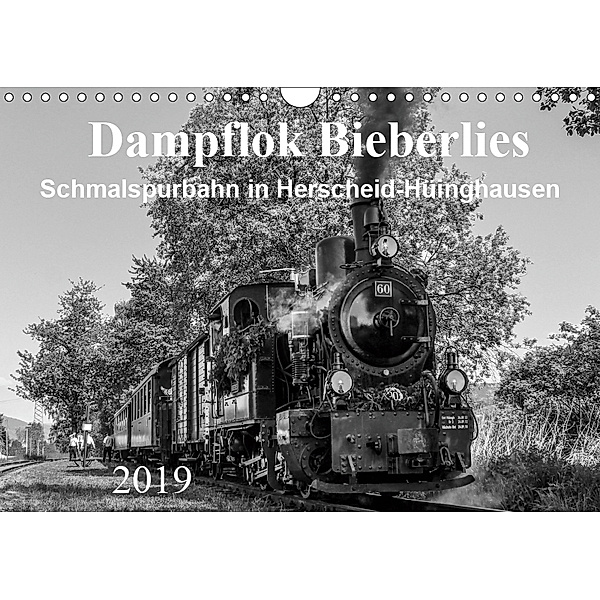 Dampflok Bieberlies in Herscheid-Hüinghausen (Wandkalender 2019 DIN A4 quer), Simone Rein