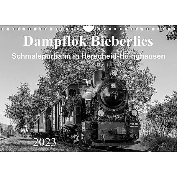 Dampflok Bieberlies in Herscheid-Hüinghausen (Wandkalender 2023 DIN A4 quer), Simone Rein