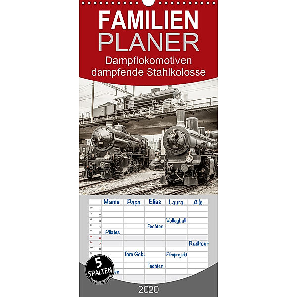 Dampflokomotiven - dampfende Stahlkolosse - Familienplaner hoch (Wandkalender 2020 , 21 cm x 45 cm, hoch), Liselotte Brunner-Klaus
