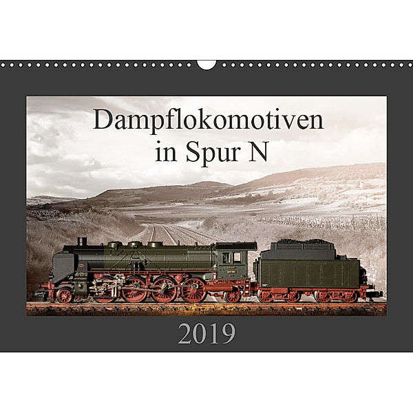 Dampflokomotiven in Spur N (Wandkalender 2019 DIN A3 quer), Christian Ritter