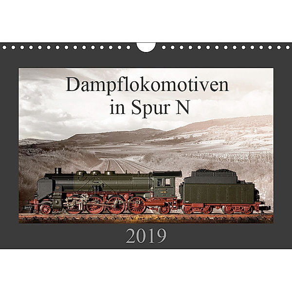 Dampflokomotiven in Spur N (Wandkalender 2019 DIN A4 quer), Christian Ritter