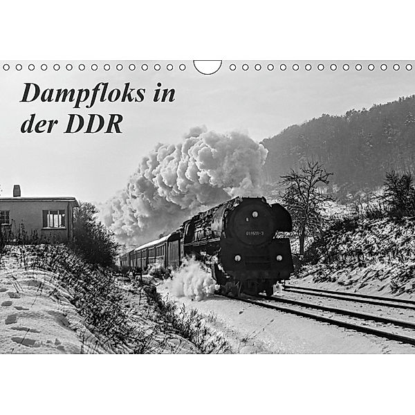 Dampfloks in der DDR (Wandkalender 2019 DIN A4 quer), M. Dietsch