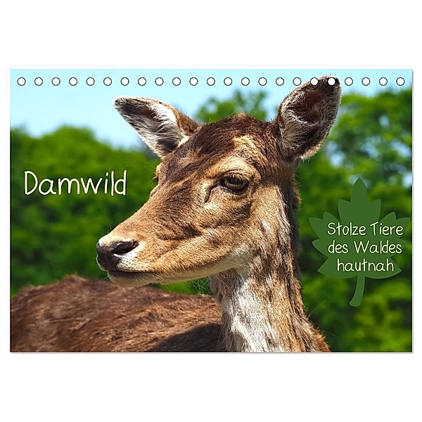 Damwild - stolze Tiere des Waldes hautnah (Tischkalender 2024 DIN A5 quer), CALVENDO Monatskalender, Marion Meyer - Stimmungsbilder1