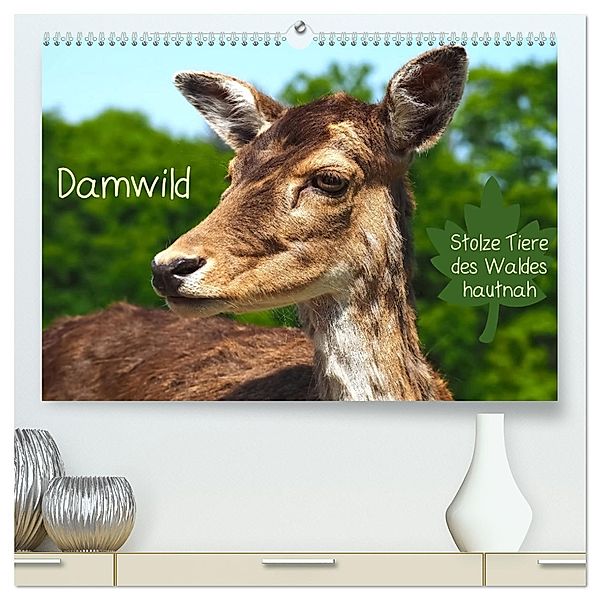 Damwild - stolze Tiere des Waldes hautnah (hochwertiger Premium Wandkalender 2025 DIN A2 quer), Kunstdruck in Hochglanz, Calvendo, Marion Meyer - Stimmungsbilder1
