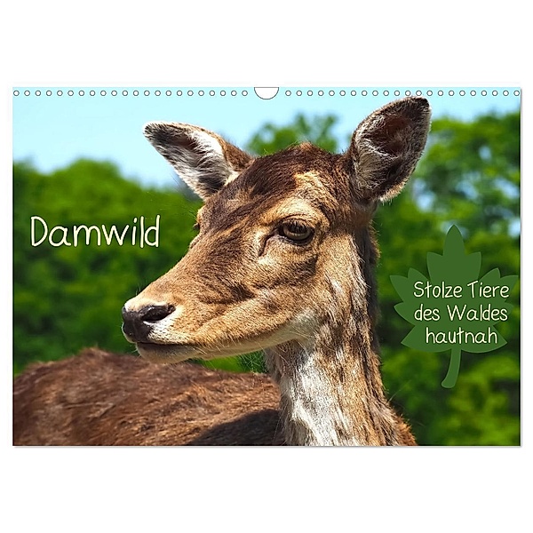 Damwild - stolze Tiere des Waldes hautnah (Wandkalender 2024 DIN A3 quer), CALVENDO Monatskalender, Marion Meyer - Stimmungsbilder1