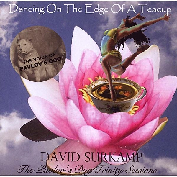 Dancing On The Edge Of A Teacup, David Surkamp