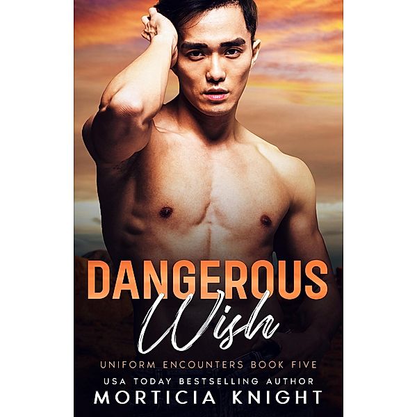 Dangerous Wish (Uniform Encounters, #5) / Uniform Encounters, Morticia Knight
