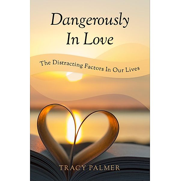 Dangerously In Love / Dangerously In Love, Tracy A Palmer