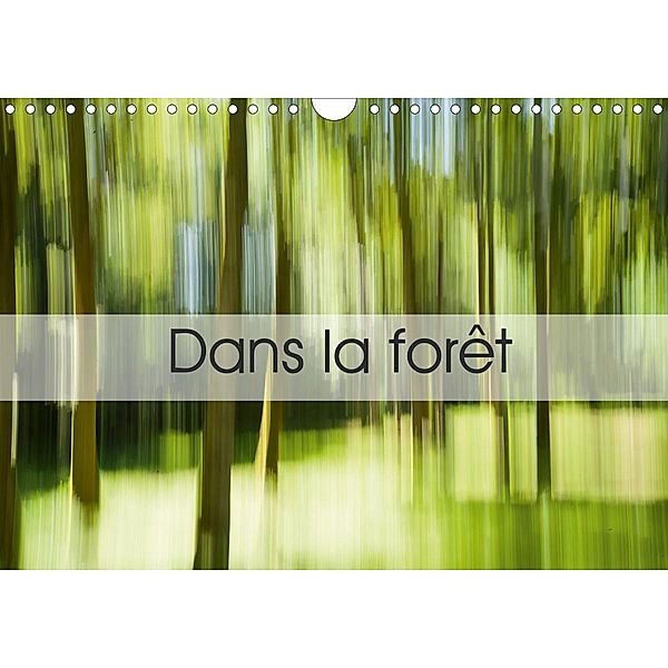 Dans la forêt (Calendrier mural 2021 DIN A4 horizontal), Guillaume Chaplot