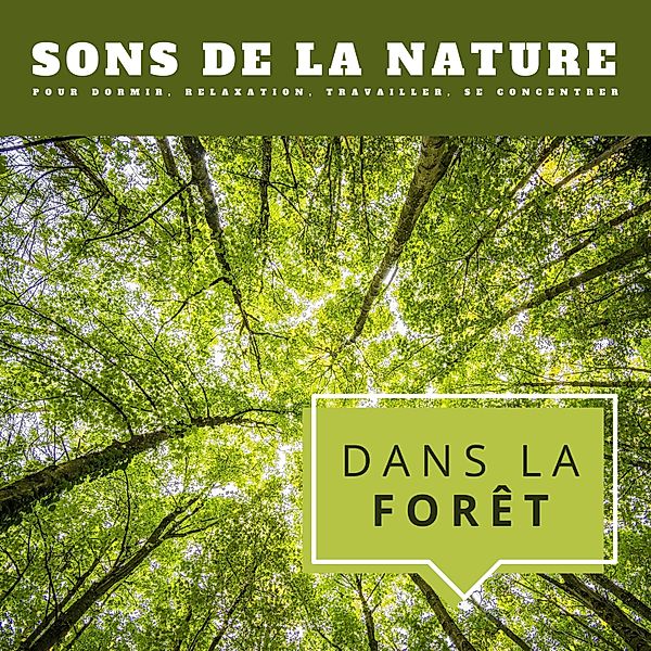 Dans la forêt: Sons de la nature pour dormir, relaxation, travailler, se concentrer, Sons de la Nature