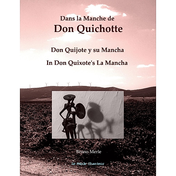 Dans la Manche de Don Quichotte, Bruno Merle