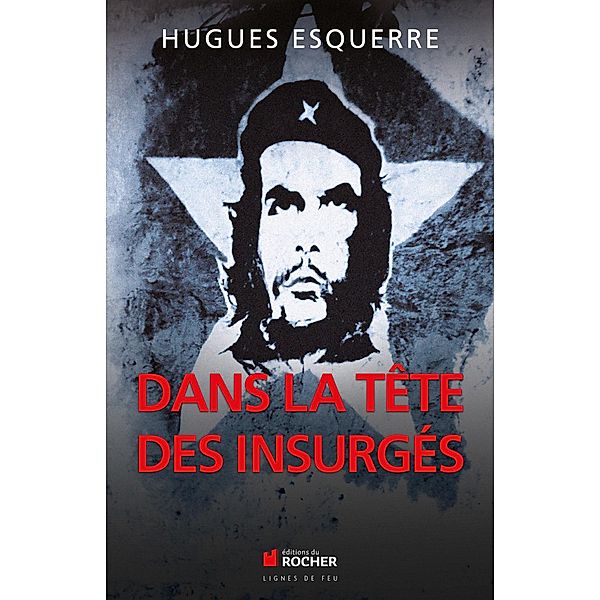 Dans la tête des insurgés, Hugues Esquerre