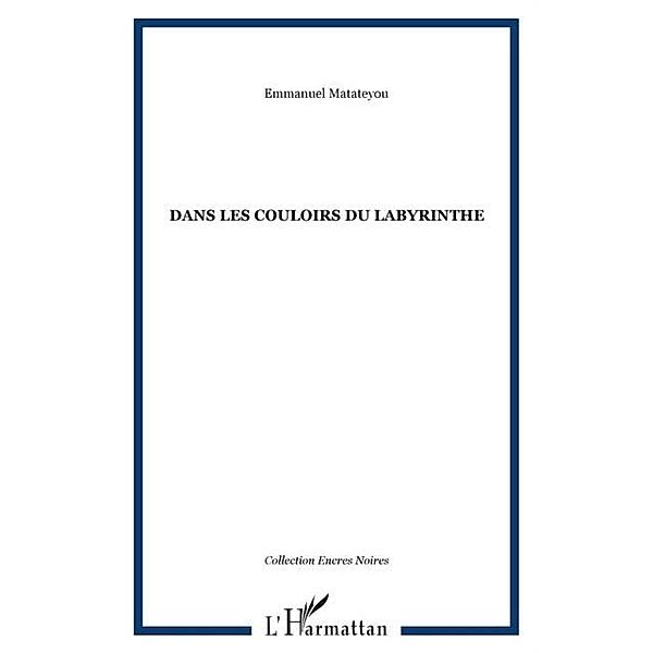 Dans les couloirs du labyrinthe / Hors-collection, Matateyou Emmanuel