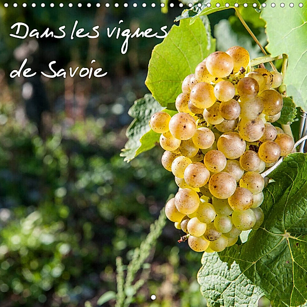 Dans les vignes de Savoie (Calendrier mural 2023 300 × 300 mm Square), Francis Demange Photographe