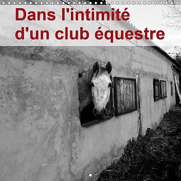 Dans l'intimité d'un club équestre (Calendrier mural 2021 300 × 300 mm Square), Didier Sibourg