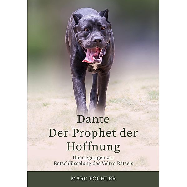 Dante - Der Prophet der Hoffnung, Marc Fochler