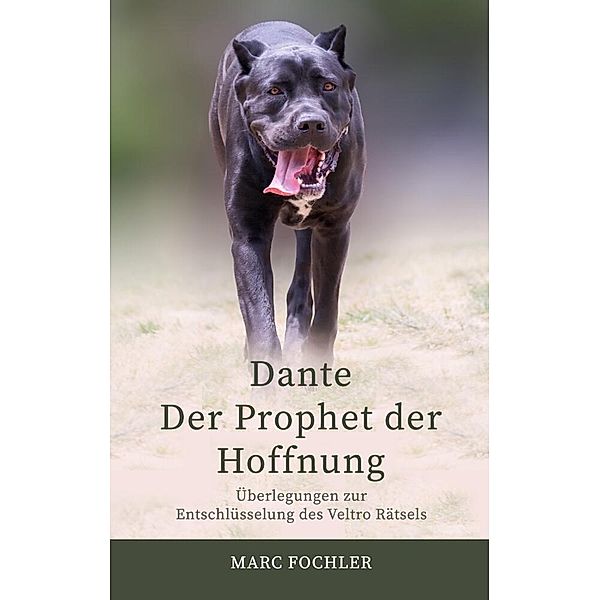 Dante - Der Prophet der Hoffnung, Marc Fochler