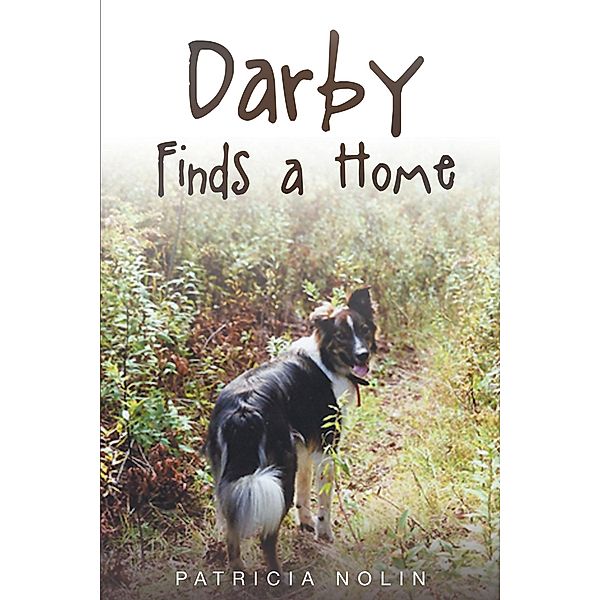 Darby Finds a Home, Patricia Nolin