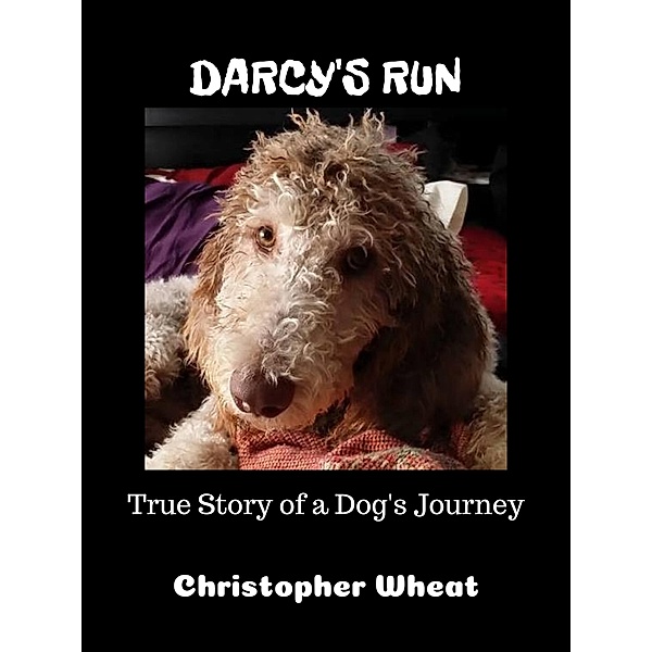 Darcy's Run (Tales from N. Park Ave.), Christopher Wheat