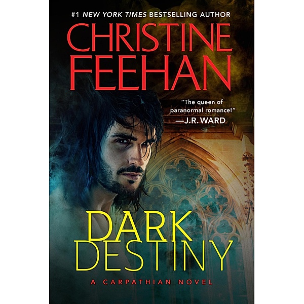 Dark Destiny / Dark Series Bd.13, Christine Feehan