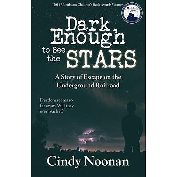 Dark Enough to See the Stars / High Star Press, Cynthia Lynn Noonan