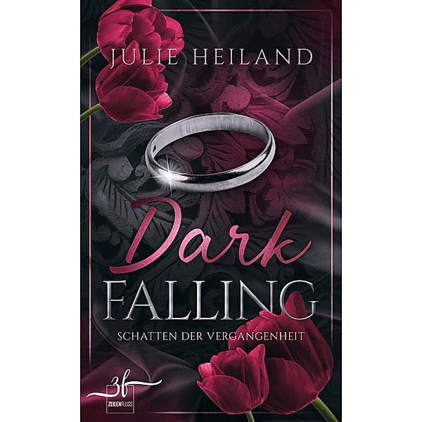 Dark Falling - Schatten der Vergangenheit / Dark Falling Bd.1, Julie Heiland