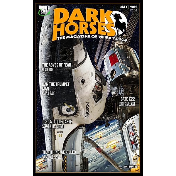 Dark Horses: The Magazine of Weird Fiction | No. 16 | May 2023 (Dark Horses Magazine, #16) / Dark Horses Magazine, Wayne Kyle Spitzer
