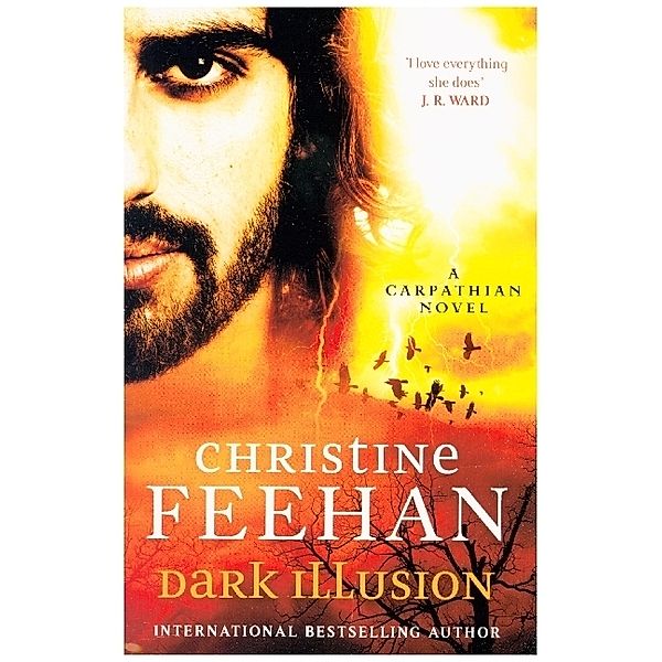 Dark Illusion, Christine Feehan