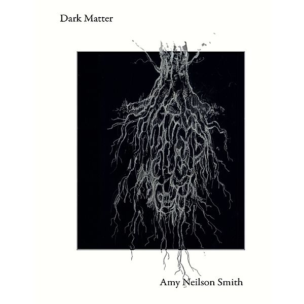 Dark Matter, Amy Smith