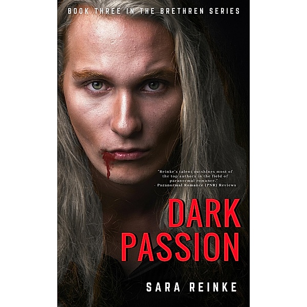Dark Passion (The Brethren Series, Book Three) / Sara Reinke, Sara Reinke