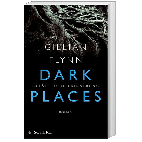 Dark Places - Gefährliche Erinnerung, Gillian Flynn