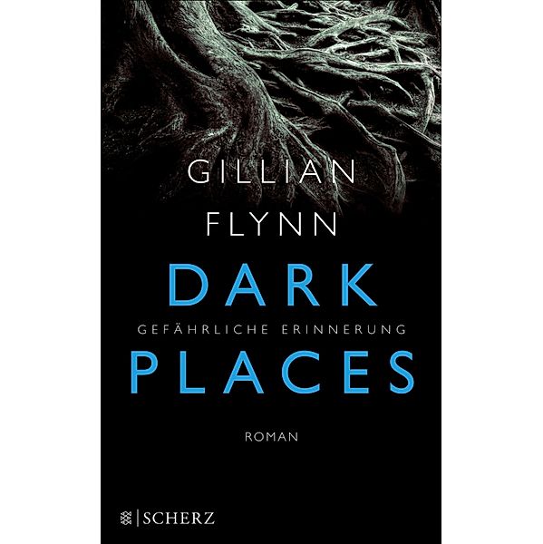 Dark Places - Gefährliche Erinnerung, Gillian Flynn